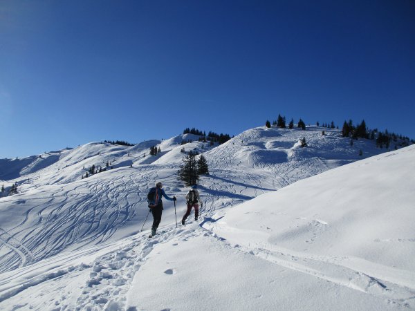 Da waren schon einige unterwegs