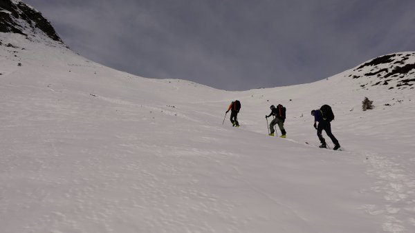 leichter Harscheckel