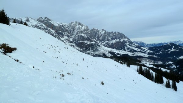 Abfahrt: Südosthang am Kollmannsegg, geht grade noch