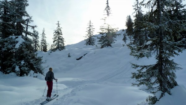 Bäume leicht angezuckert vom Vortag