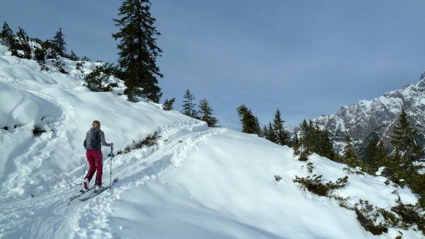 Höhe 1650 m, die Latschen sind halbwegs überschneit