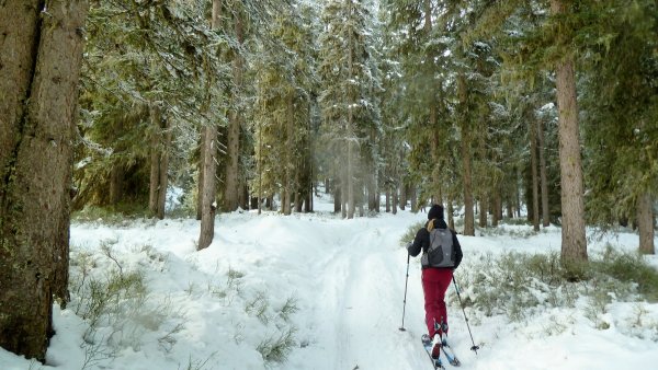 Im unteren Auwald, für den Aufstieg reicht's.