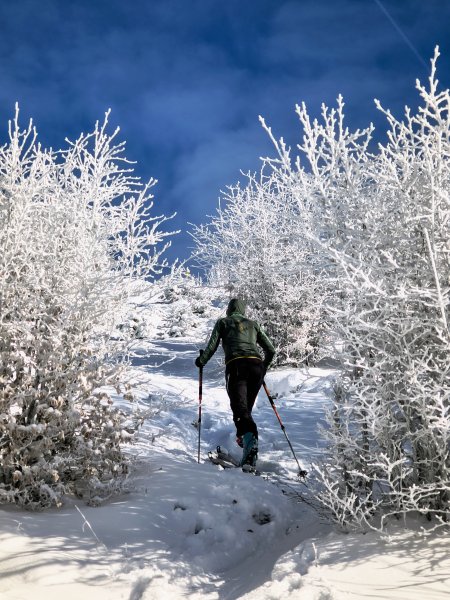 bisschen Winterfeeling