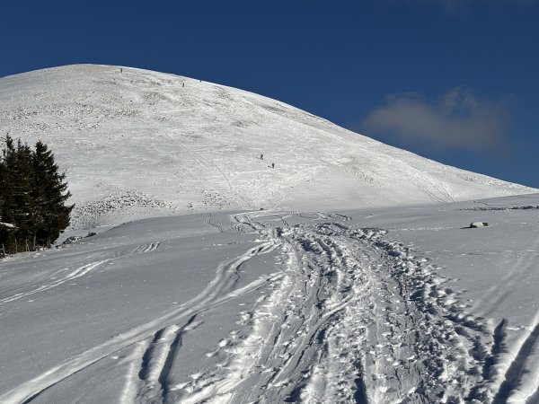 Gipfelhang auf der rechten Seite halwegs fahrbar im zusammengewehten Schnee