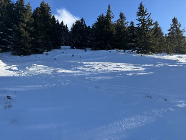 etwas mühsam, immer wieder Steinkontakt