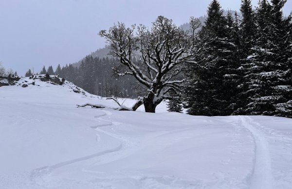 zwischendrin mal ganz gut