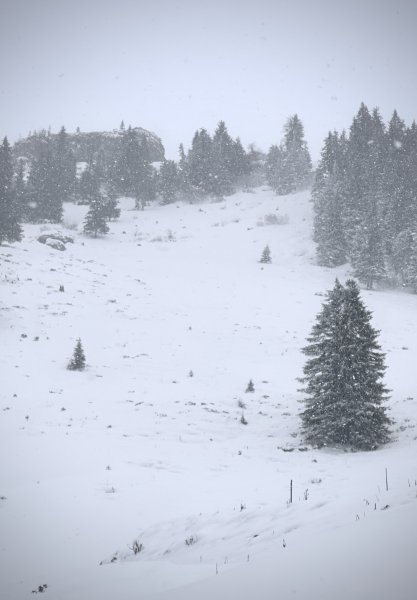 über der Gerlinger Alm...