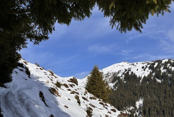 wunderschöner Anstieg, - aber wer will da runterfahren?