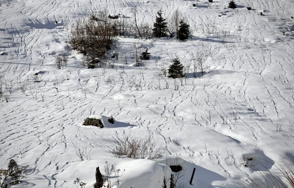 ostseitig Wasserrillen