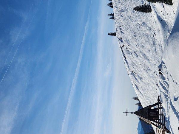 Mäuler tun sich auf