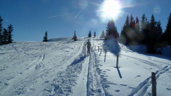 Die Mugerl zwischen Kollmannsegg und Ahornstein