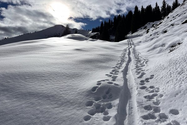 das Leben könnte so schön sein!