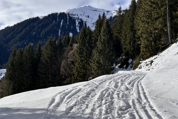 Blick über die eisigen Schienen zum Langeck