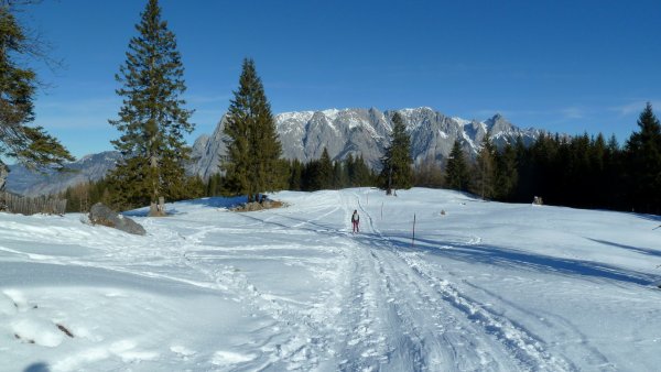 Immer schön auf Spur