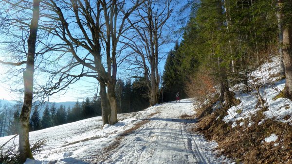 Abmarsch an der Dielalm