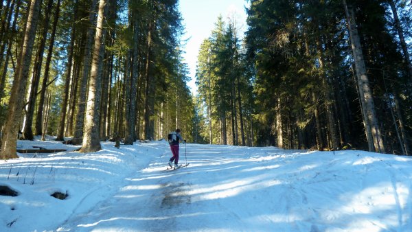 Immer wieder dunkle, unfreundliche Einsprengsel im Weiß