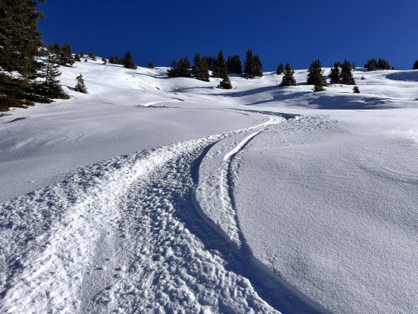 Abfahrt zur Hackelberger Alm vom Saalbachkogel
