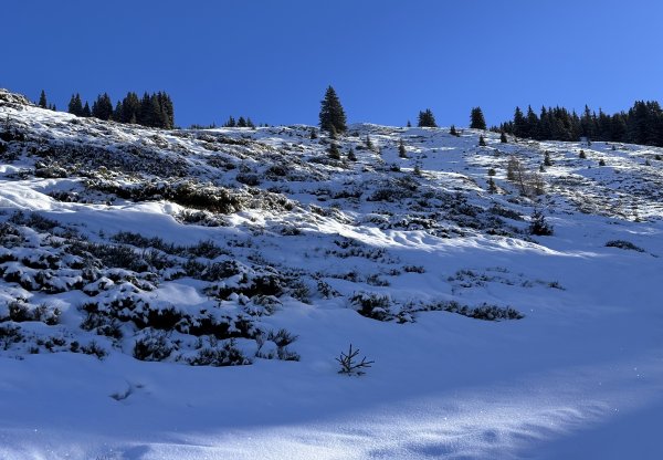 Hurra es hat geschneit...