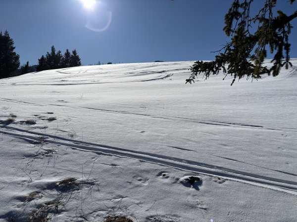 ganz oben kann man auch noch fahrbaren Tiefschnee finden ...