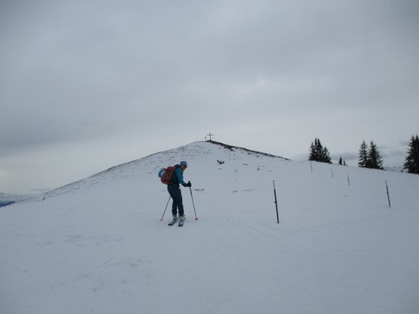 Schneeberggipfel (  St.Veiter)