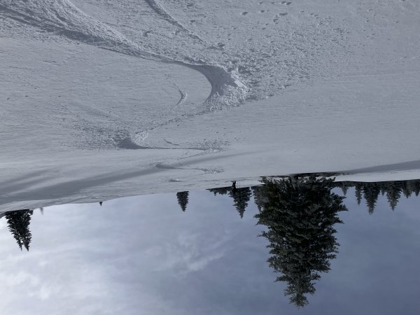 Eine feine Linie haben wir da gefunden