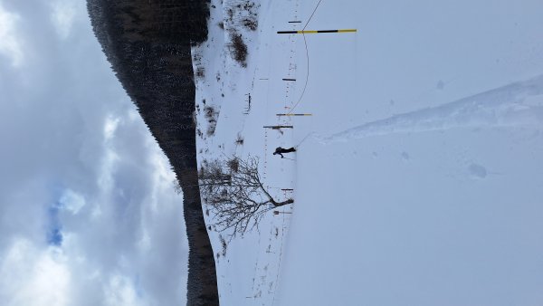 Bitte haltet euch an diese Absperrungen.