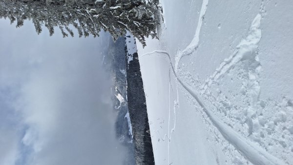 Richard Wieserhörndl