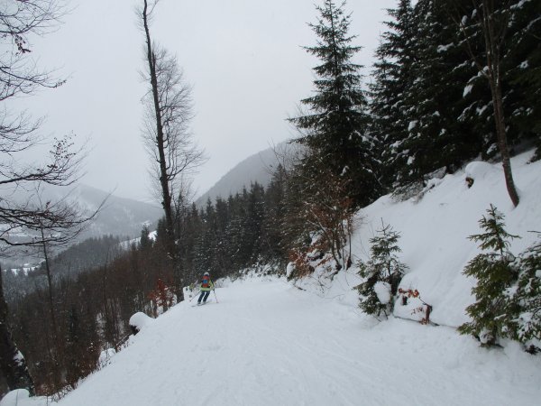 Forststraße zum Parkplatz