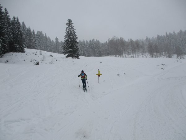 bei der Abzweigung zur Mittereggalm