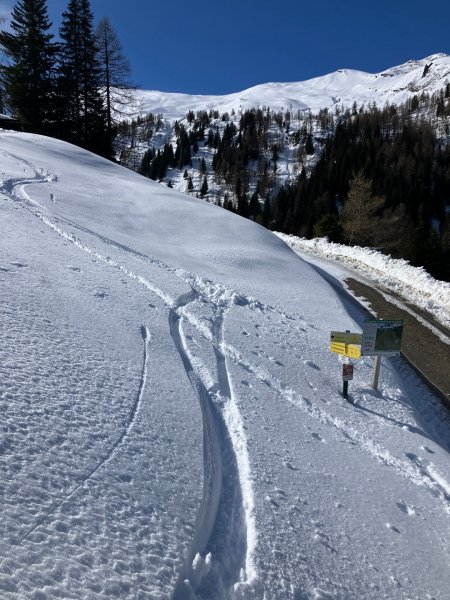 Abzweigung in den Wald