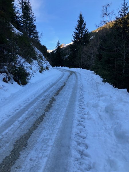 Forstraße unterer Teil