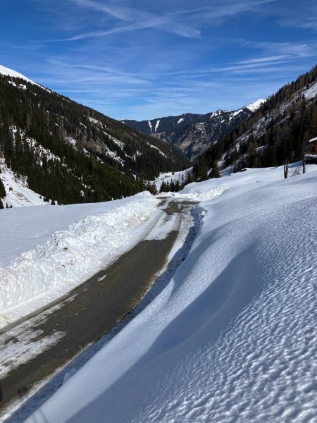 Forststraße bei Reitalm