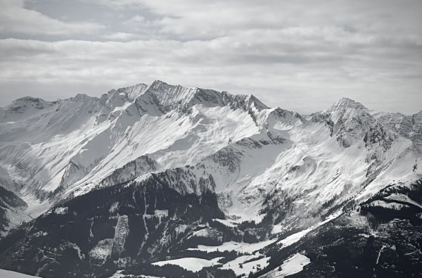 Glanzgeschirr, Grüneckkogelscharte, Tauernkogel
