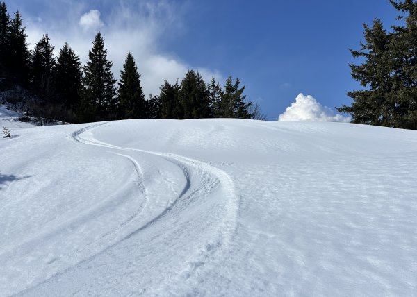Ein paar Meter Firn - und der Rest grauslig