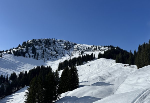 Brunnkopf und Skihütte