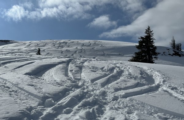 Weicher Pulver? Ne. Verspurter Bruchharsch.