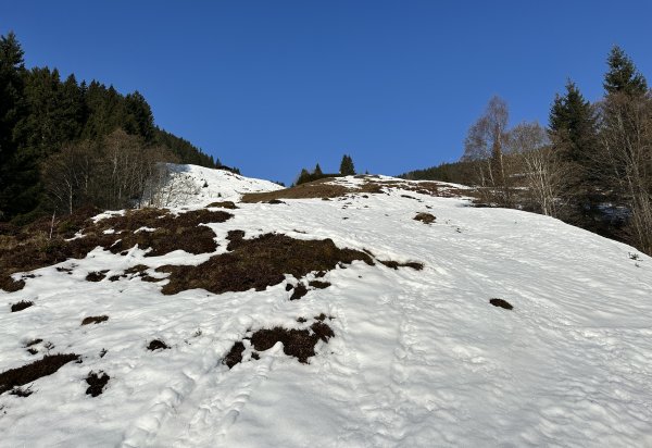 Im unteren Teil schon sehr wenig Schnee