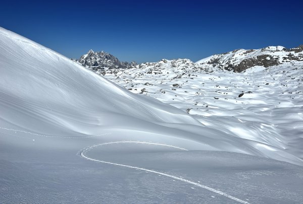 Zurück aus dem Meer