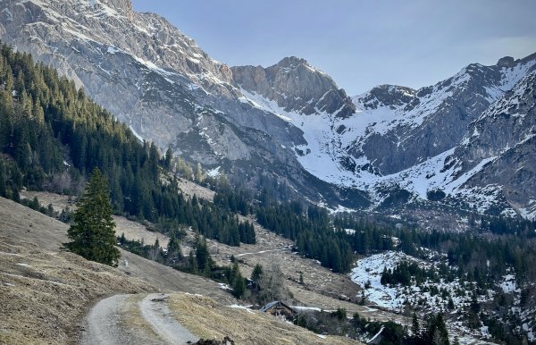 apere Enzenalm mit Blick zum Ziel