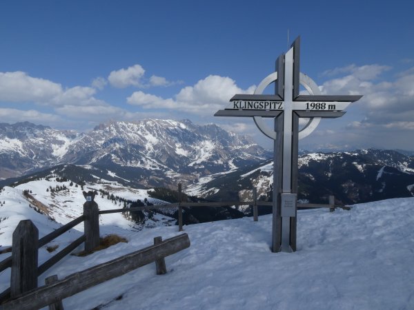 Schon viel Grün- und Brauntöne..