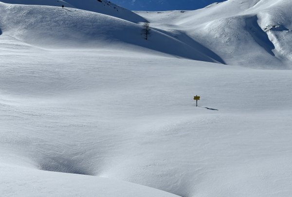 … oder doch nicht?