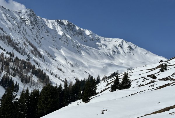 rechts Stoffenhochalm, links Manlitzkogel