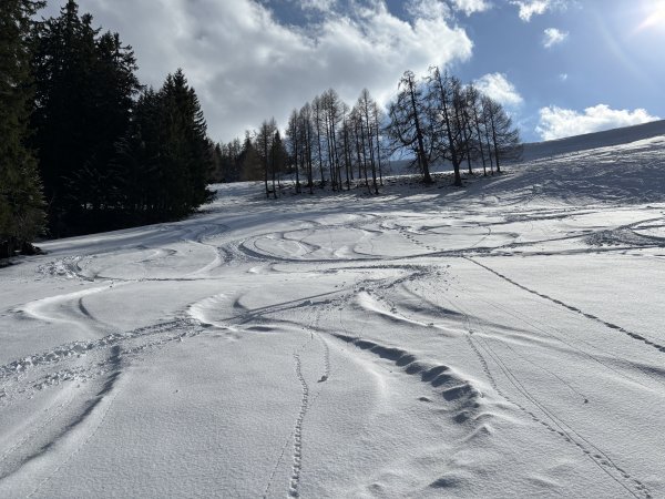 Was will man mehr ...