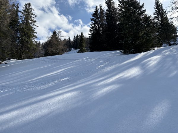 einige Stellen unverspurt