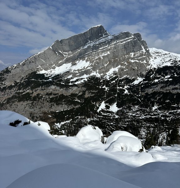 Seehorn gegenüber