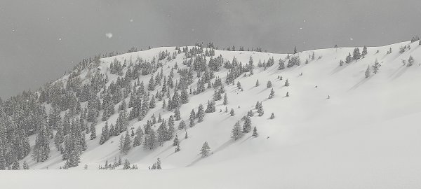 Der Ostrücken vom Schneeberg b. Mühlbach