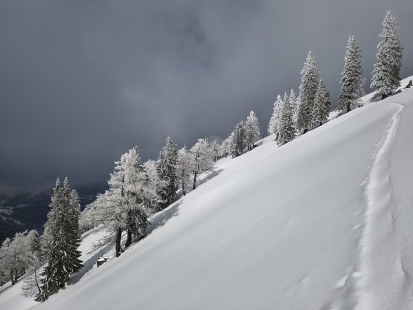 Aufstiegspur vom Vormittag schon wieder leicht zugweht