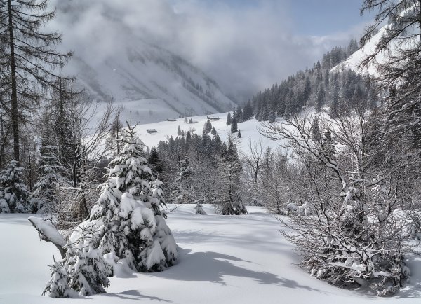 Blick zurück zur Genneralm