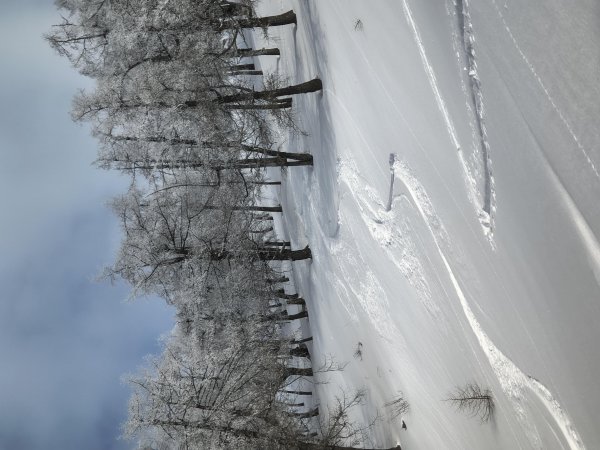 ganz leichte oberflächliche Rutsche im Steilhang
