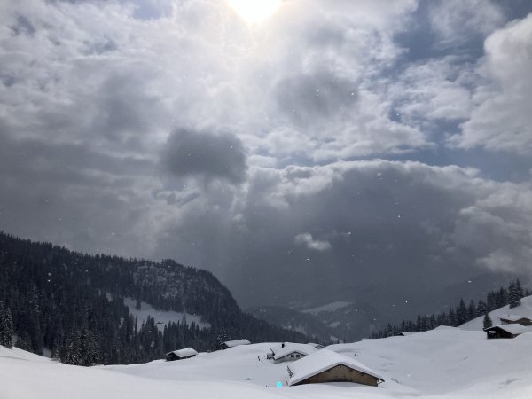 Wieder unten bei den Almen